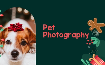 Pet Photography