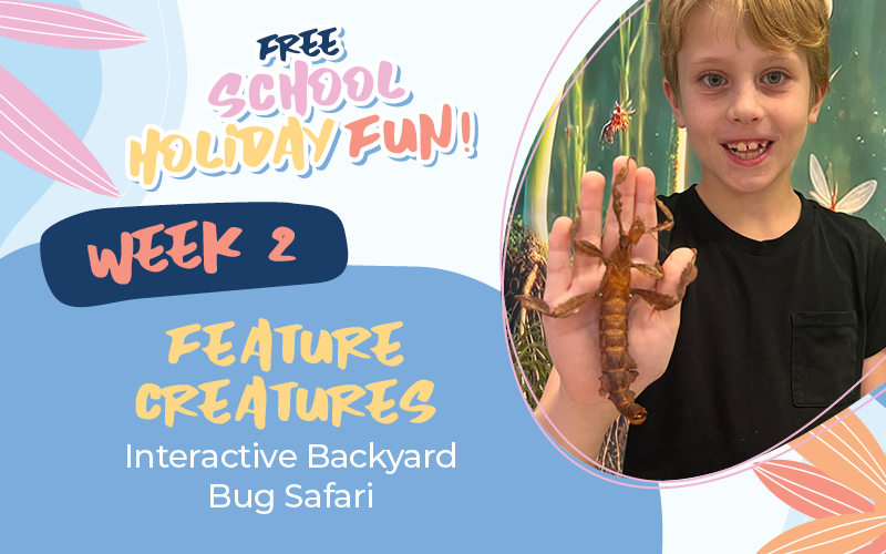 Week 2: Feature Creatures &ndash; Interactive Backyard Bug Safari